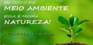 meio ambiente 2